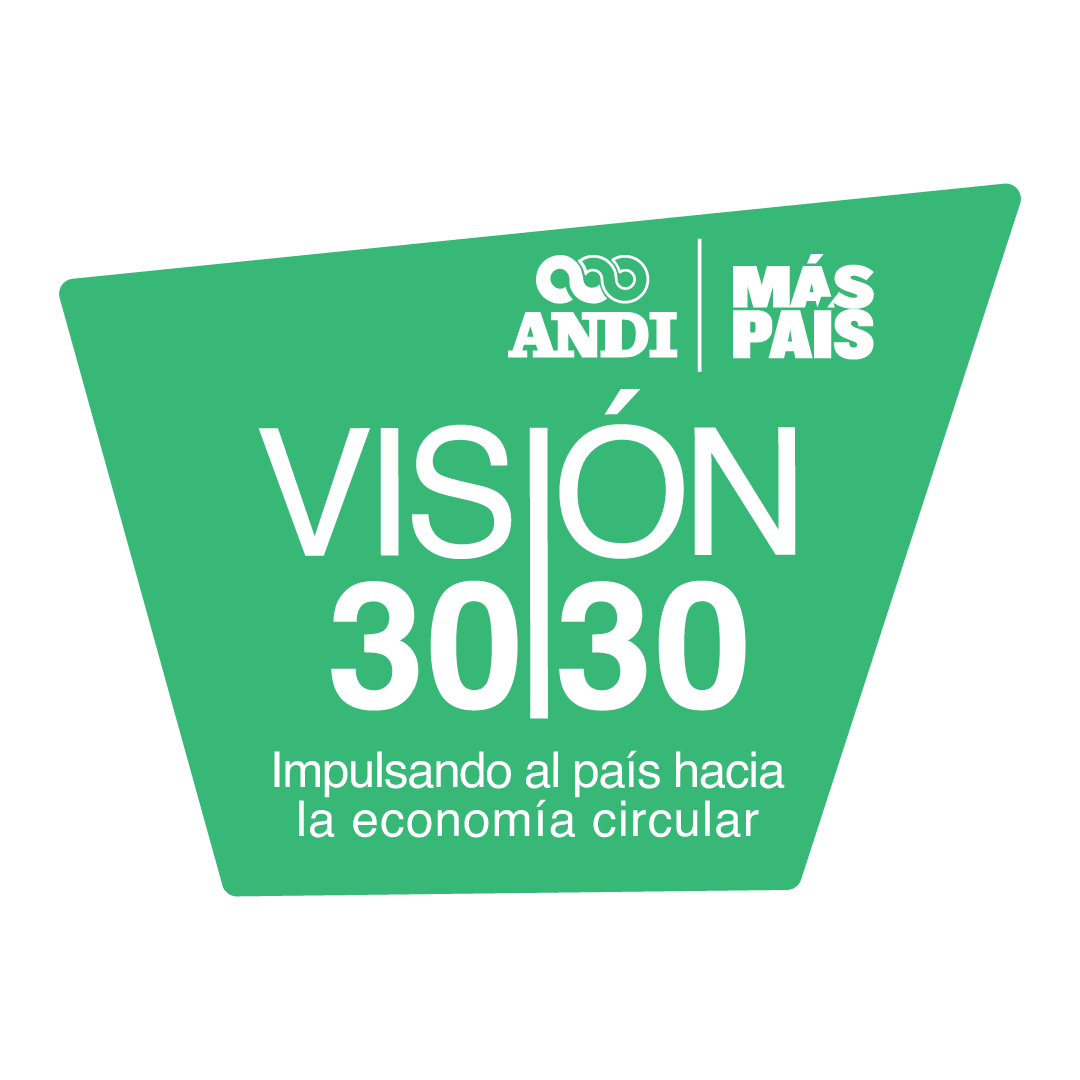 Logo Visión 3030